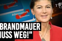 „Die AfD muss in die Regierung eingebunden werden“