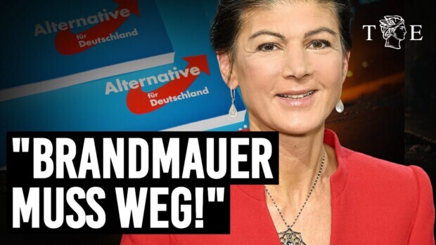 „Die AfD muss in die Regierung eingebunden werden“