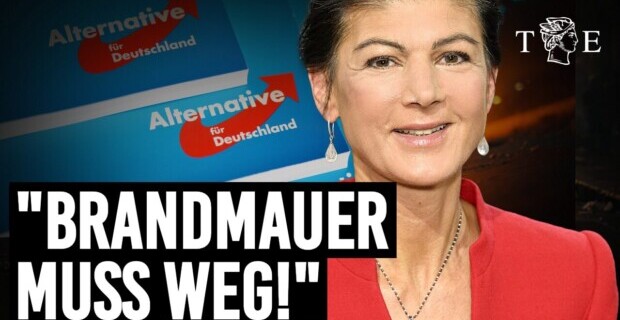 „Die AfD muss in die Regierung eingebunden werden“