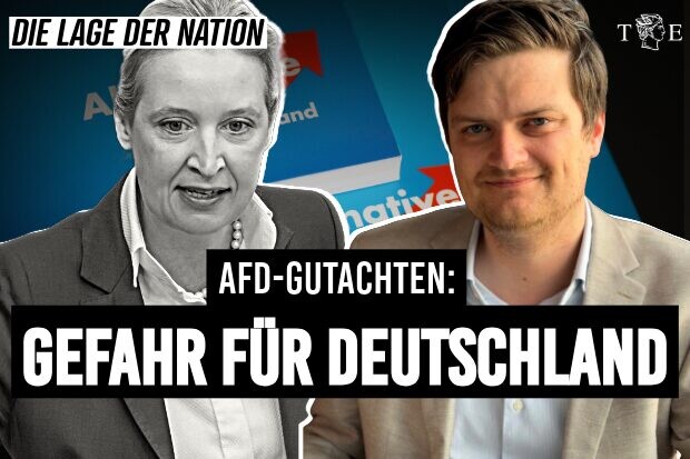 Das Gutachten zum AfD-Verbot ist gefährlicher als die AfD