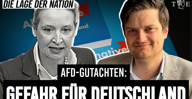 Das Gutachten zum AfD-Verbot ist gefährlicher als die AfD