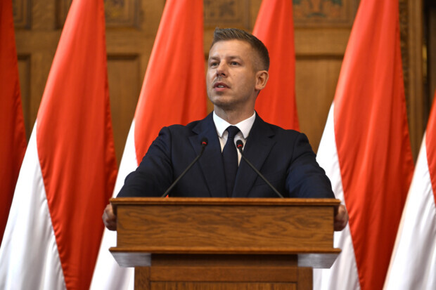 Péter Magyar und das Fegefeuer