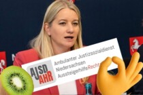 Staatsfinanzierter Pranger: Wenn der Ankläger sein eigener Zeuge ist