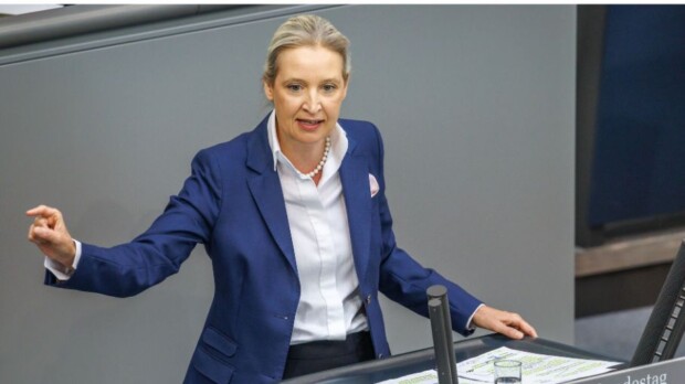Weidel spricht über missbrauchte Mädchen – Linkenp
