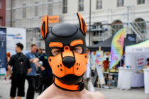 „Schwulau“: Wiens Verkehrsbetriebe machen Stationen queer