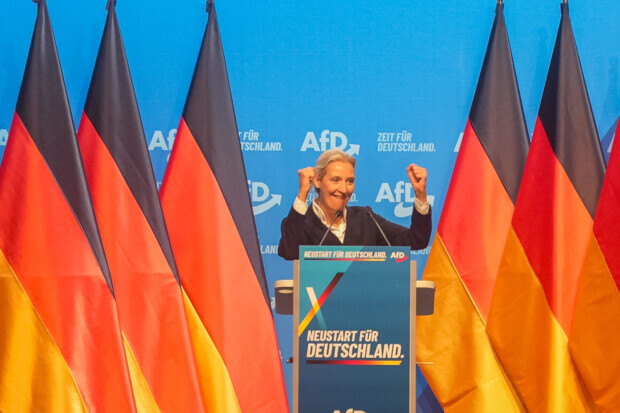 Auch die Gegner halfen, dass der AfD-Parteitag ein Erfolg wird