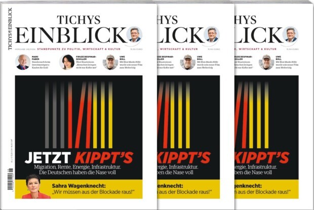 Tichys Einblick 08-2026: Jetzt kippt’s