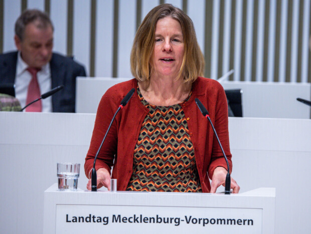 Sexuelle Belästigung? Grünen-Chefin Constanze Oehlrich tritt zurück