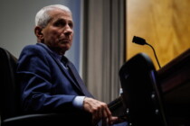 Fauci-Berater bekennt sich schuldig: Virenforschung in Wuhan verschleiert