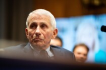 Corona-Impfung: Fauci diskutierte intern das Fehlgeburtsrisiko