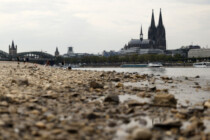 Niedrigwasser: Panikmache statt Präszision