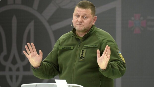 Ex-Armeechef Saluschnyj: „Leider werden wir niemals der NATO beitreten“