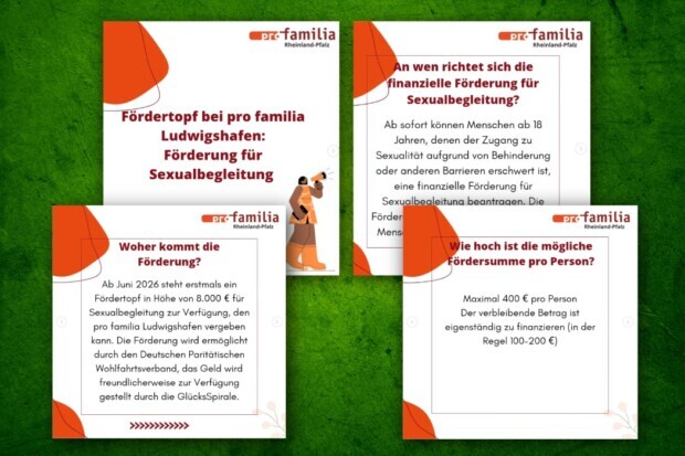 8.000 Euro für „Sexualbegleitung“: Pro Familia fördert Prostitution für einen guten Zweck