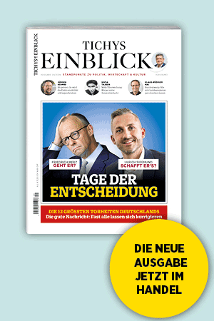 Einblick-Abo