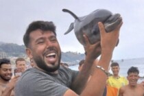 Ceuta: Das tote Delfinbaby als Trophäe des erbeuteten Europas