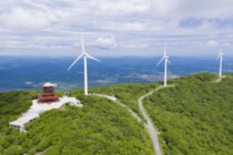 Das Märchen vom grünen China