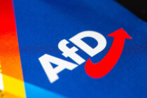 Brandenburg: AfD bei 40 Prozent – CDU stürzt ins Bodenlose