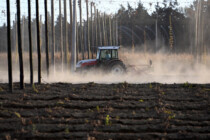 Landwirte in Deutschland: jede Woche ein Selbstmord