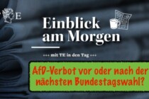 Steinmeier eröffnete den Countdown: Kommt das AfD-Verbot vor der nächsten Bundestagswahl? 