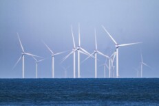 Windpark in der Nordsee.